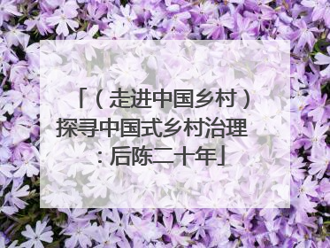 （走进中国乡村）探寻中国式乡村治理：后陈二十年