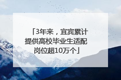 3年来，宜宾累计提供高校毕业生适配岗位超10万个