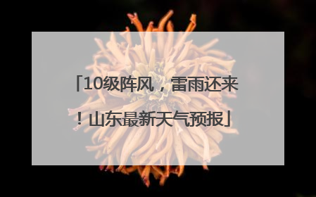 10级阵风，雷雨还来！山东最新天气预报