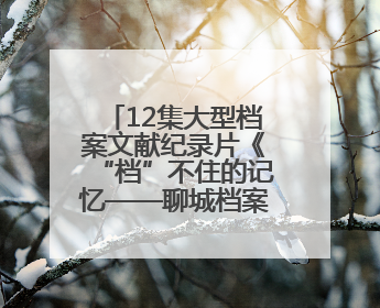 12集大型档案文献纪录片《“档”不住的记忆——聊城档案故事》将于近期播出