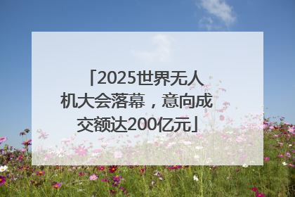 2025世界无人机大会落幕，意向成交额达200亿元