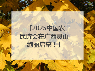2025中国农民诗会在广西灵山绚丽启幕！