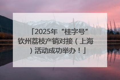 2025年“桂字号”钦州荔枝产销对接（上海）活动成功举办！
