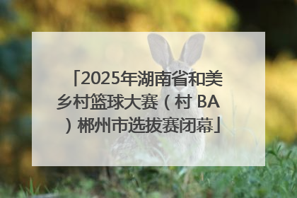 2025年湖南省和美乡村篮球大赛（村 BA）郴州市选拔赛闭幕