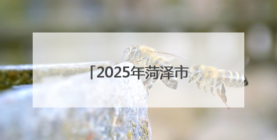2025年菏泽市第五届健身健美比赛暨山东省健身健美锦标赛选拔赛举办