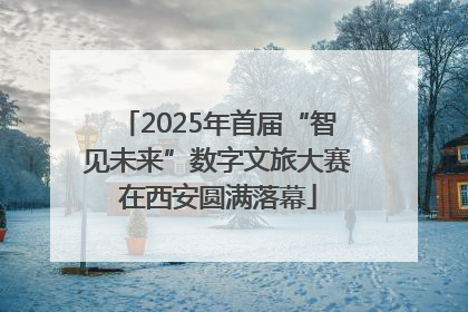 2025年首届“智见未来”数字文旅大赛在西安圆满落幕