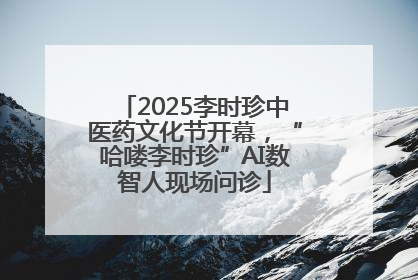2025李时珍中医药文化节开幕，“哈喽李时珍”AI数智人现场问诊