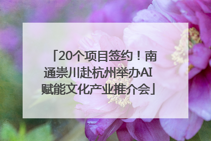 20个项目签约！南通崇川赴杭州举办AI赋能文化产业推介会