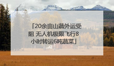 20余亩山蔬外运受阻 无人机极限飞行8小时转运6吨蔬菜