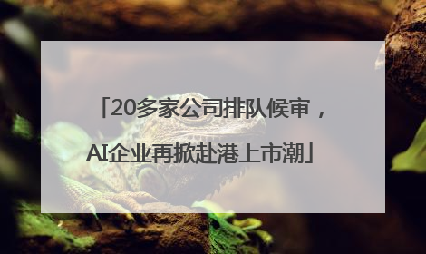 20多家公司排队候审，AI企业再掀赴港上市潮