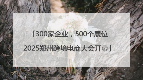 300家企业，500个展位 2025郑州跨境电商大会开幕