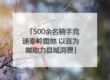 500余名骑手竞速秦岭腹地 以赛为媒助力县域消费