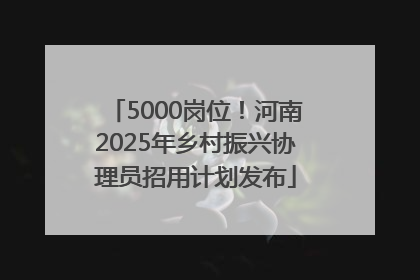 5000岗位！河南2025年乡村振兴协理员招用计划发布