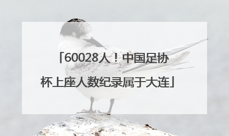 60028人！中国足协杯上座人数纪录属于大连