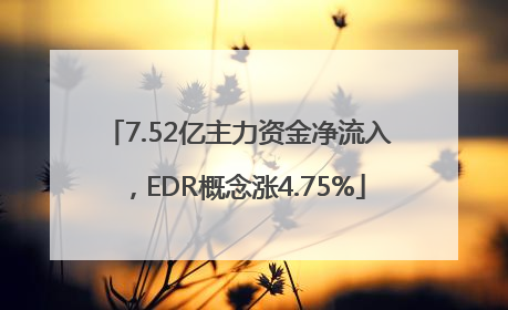 7.52亿主力资金净流入，EDR概念涨4.75%