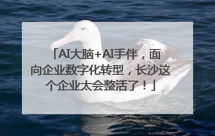 AI大脑+AI手伴，面向企业数字化转型，长沙这个企业太会整活了！