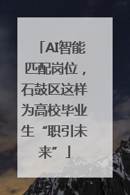 AI智能匹配岗位，石鼓区这样为高校毕业生“职引未来”