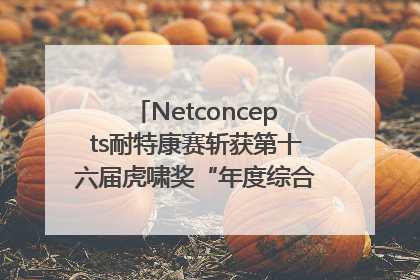 Netconcepts耐特康赛斩获第十六届虎啸奖“年度综合服务商”大奖